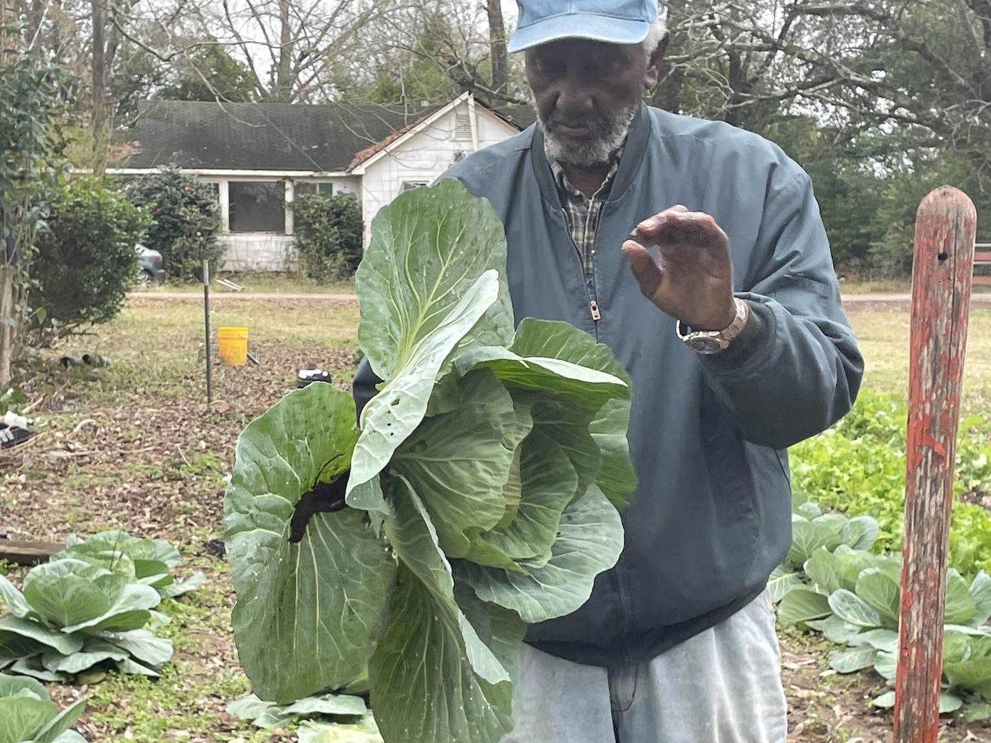 Selma: Growing Food, Building Community